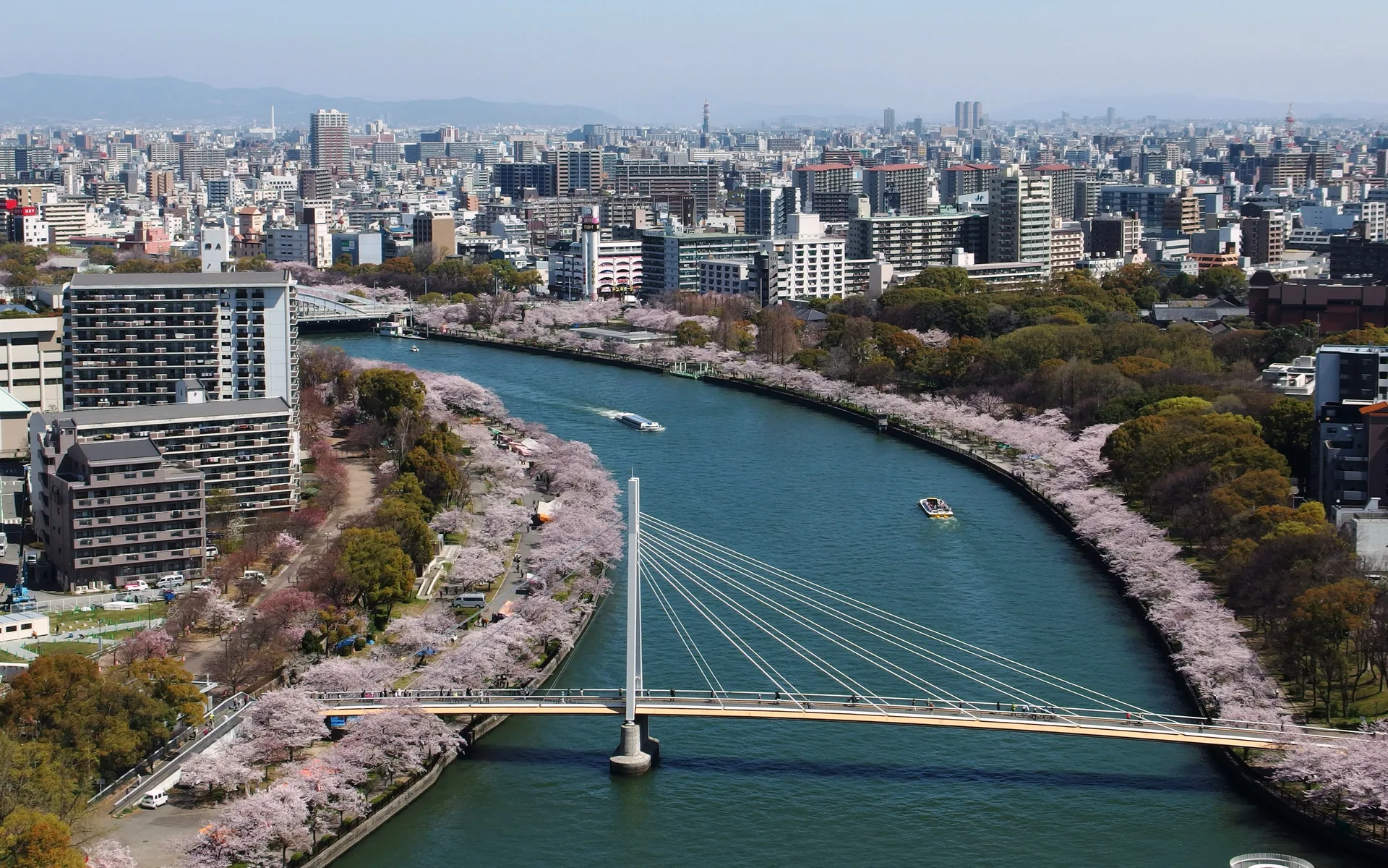 大川の両岸に桜並木が続く毛馬桜之宮公園