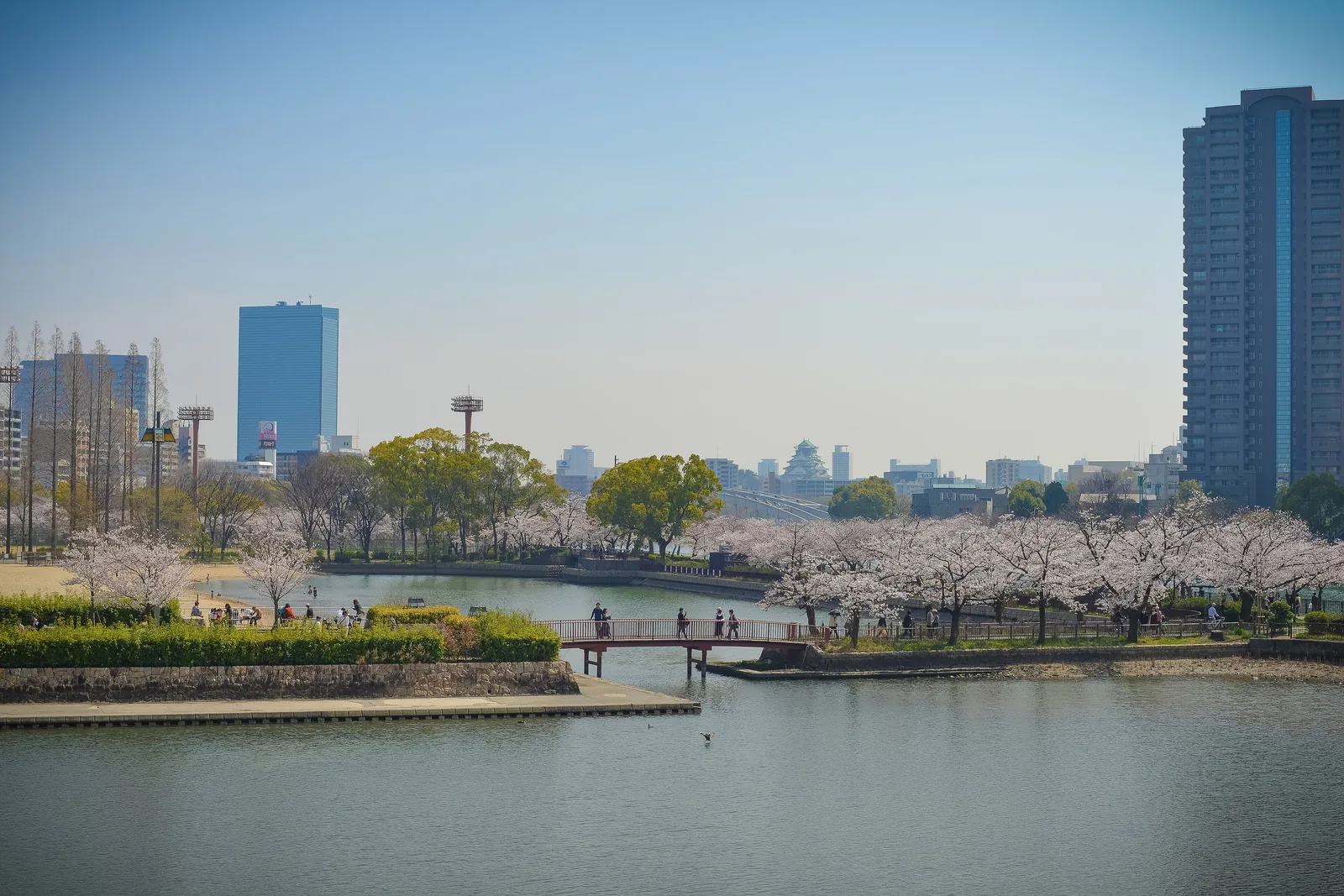 毛馬桜之宮公園の桜と水辺の風景